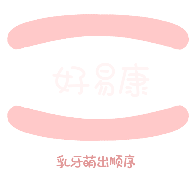 尚佳專業(yè)月嫂丨關(guān)于寶寶長牙問題，都在這里！